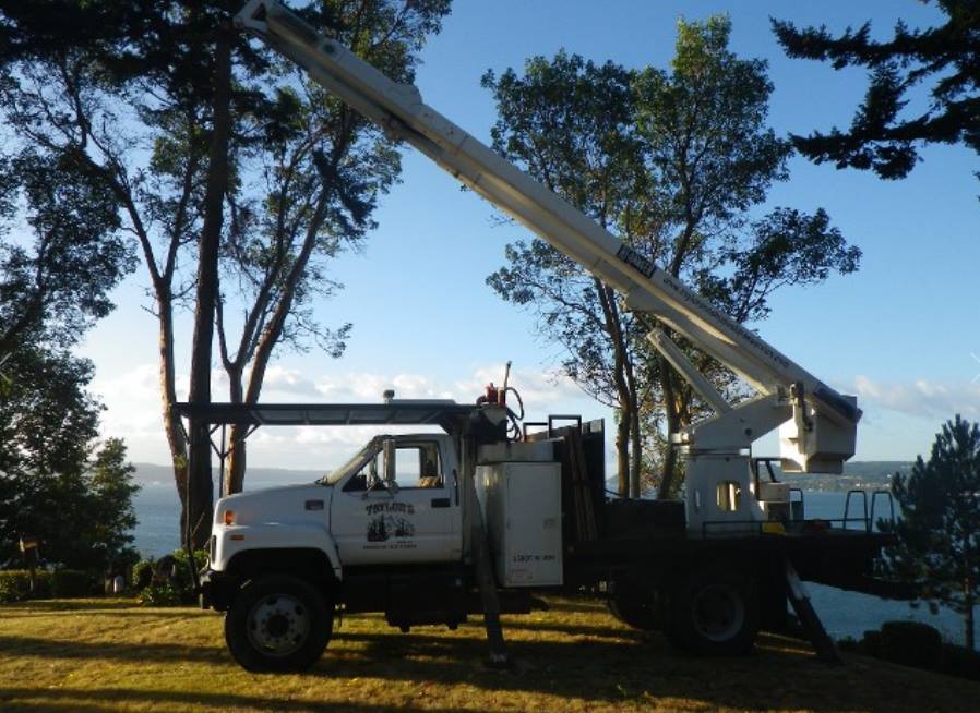 Taylors Snohomish Tree Service | 7717 184th Dr SE, Snohomish, WA 98290, USA | Phone: (425) 903-0559