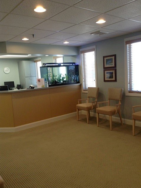 Sugarbug Dental Suite, PC | 1 Courthouse Ln #14, Chelmsford, MA 01824, USA | Phone: (978) 458-2616