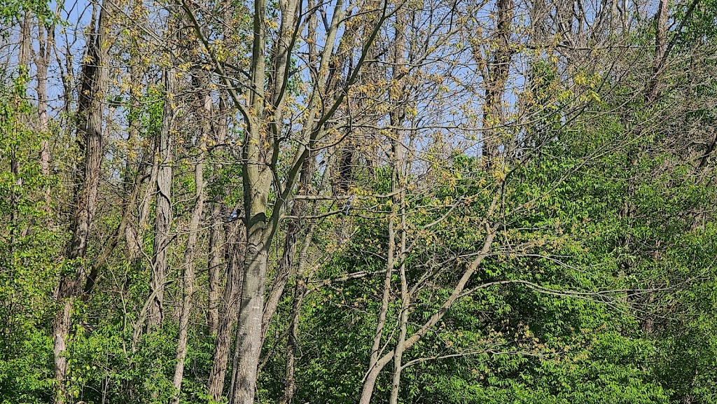 Sycamore Creek Park Gazebo | Hilltop Dr, Pickerington, OH 43147, USA | Phone: (614) 833-2211