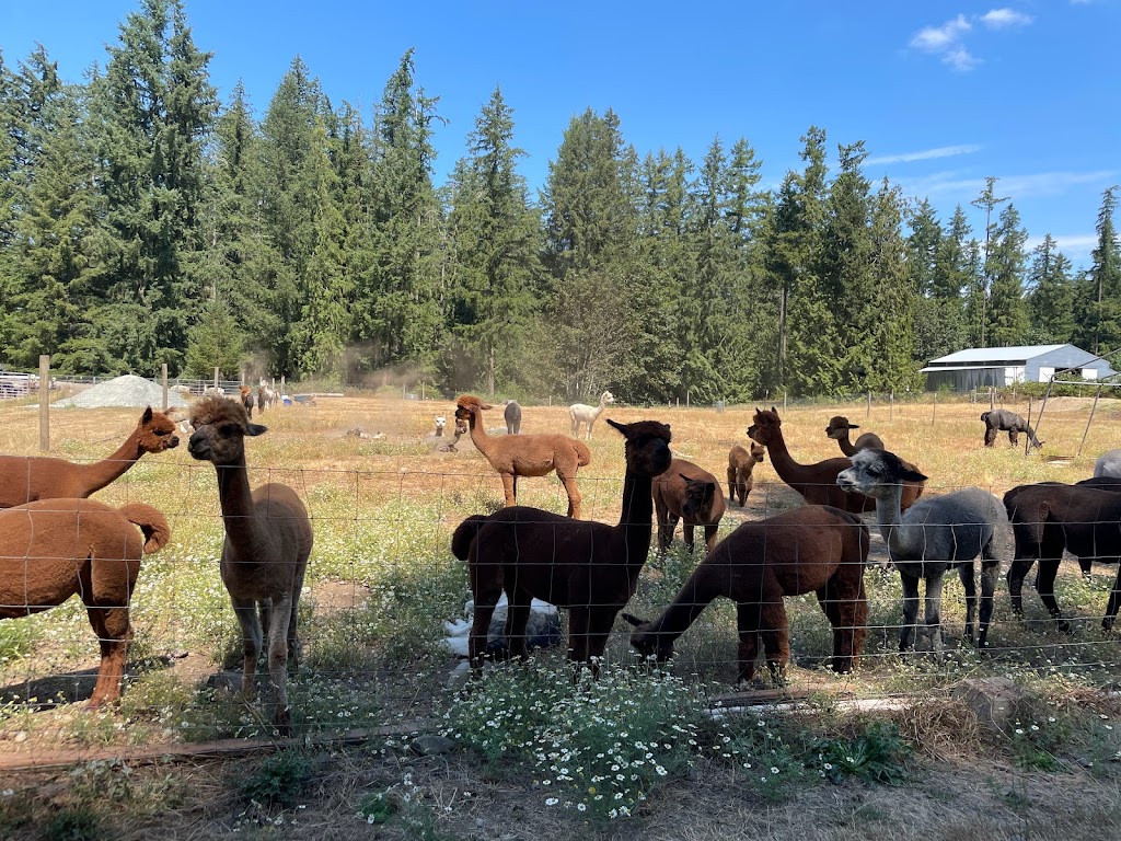 Cascade Rose Alpacas | 1826 324th Ave NE, Carnation, WA 98014, USA | Phone: (425) 224-7224