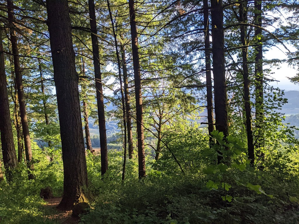 Bald Peak State Scenic Viewpoint | Bald Peak State Scenic Viewpoint, Hillsboro, OR 97123, USA | Phone: (800) 551-6949