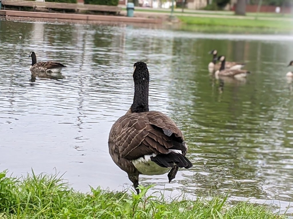 Grove City Memorial Park | W Main St, Grove City, PA 16127, USA | Phone: (724) 458-7060