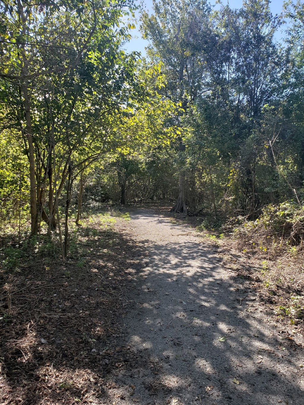 Woodlands Conservancy’s Woodlands Trail | 449 F Edward Hebert Blvd, Belle Chasse, LA 70037, USA | Phone: (504) 433-4000