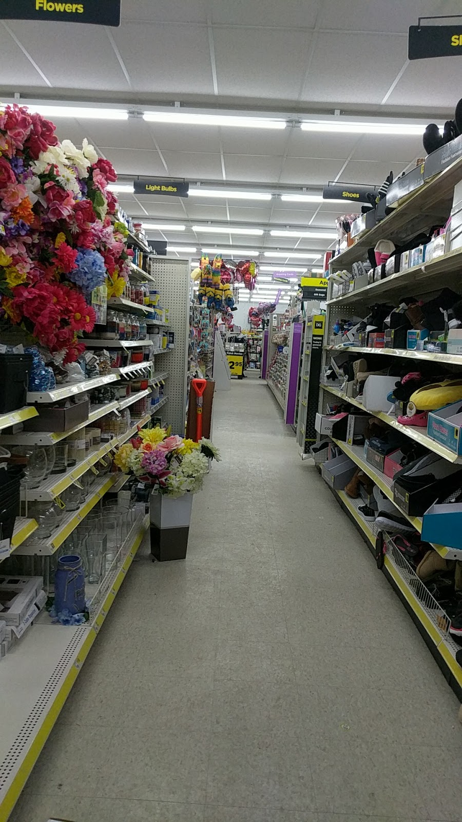 Dollar General | 795 Lafayette Rd, Medina, OH 44256, USA | Phone: (330) 591-2190