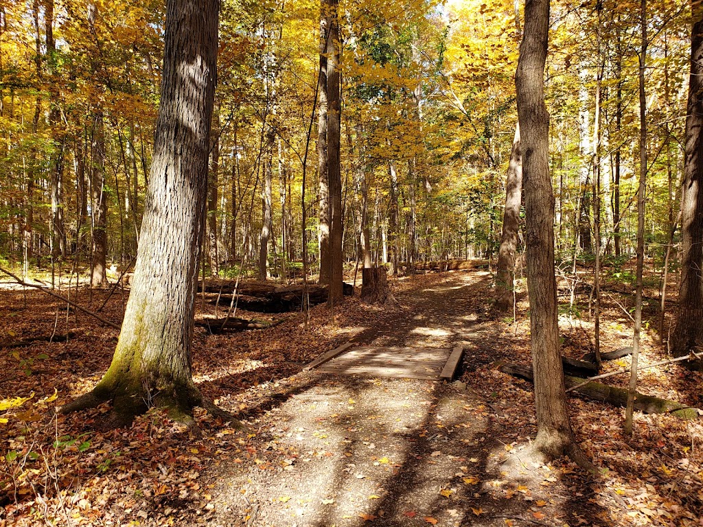 Oenslager Nature Center | 6100 Ridge Rd, Wadsworth, OH 44281, USA | Phone: (330) 722-9364