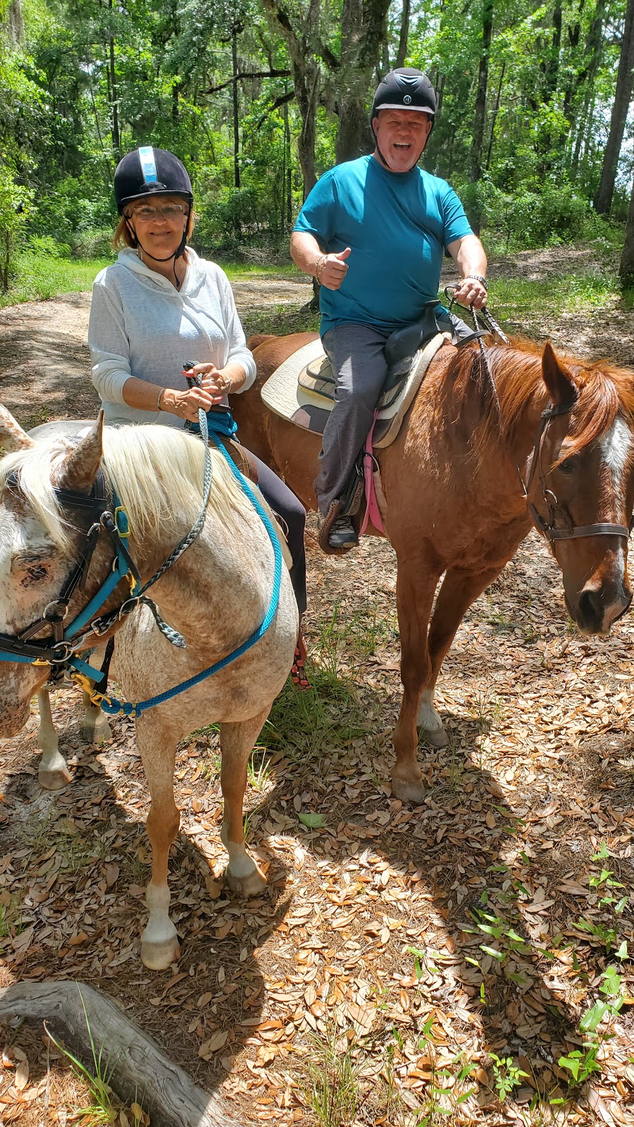 EM Equine Service | 700 Pinkney Dr, Folkston, GA 31537, USA | Phone: (919) 497-2980