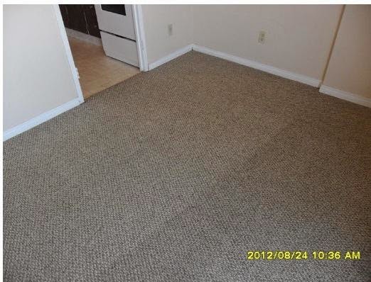 Windsor Steam Carpet & Duct Cleaning | 3791 Maguire St, Windsor, ON N9E 4T2, Canada | Phone: (519) 258-3545