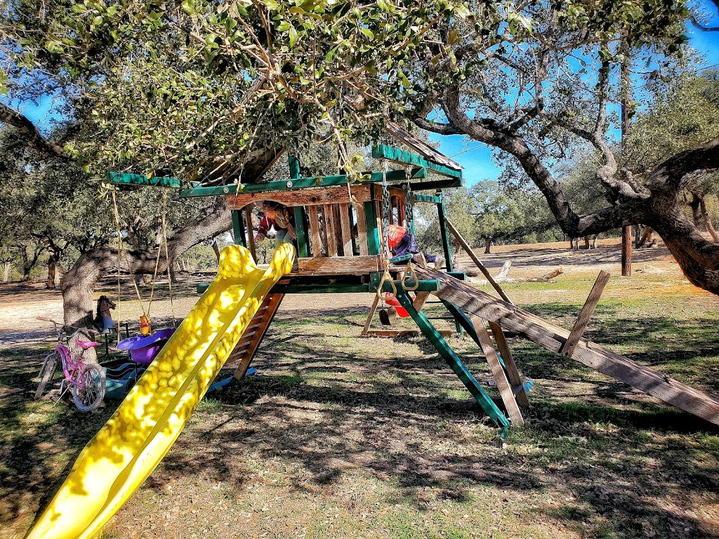 Hollow Tree Ranch | 789 Herbelin Rd, New Braunfels, TX 78132, USA | Phone: (830) 609-8993