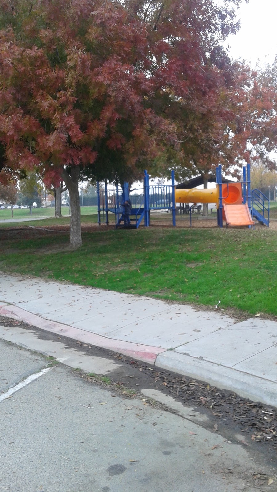 W. H. Shafer Park | Thompson Ave, Selma, CA 93662 | Phone: (559) 891-2237