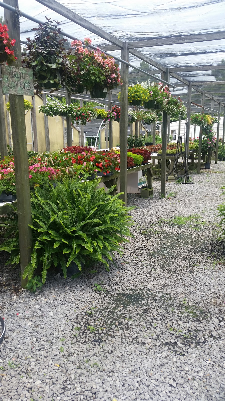 Bettes Garden Center | 1217 Tallapoosa St, Alexander City, AL 35010 | Phone: (256) 329-1115