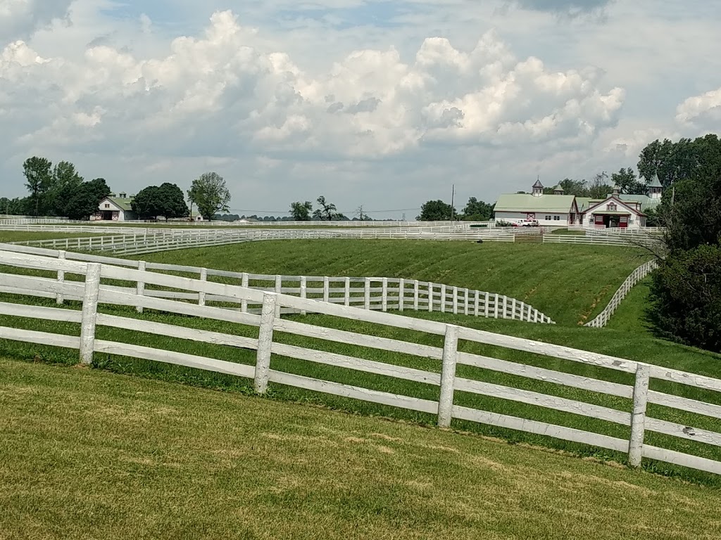 Horse Farm Tours | 3429 Montavesta Rd, Lexington, KY 40502, USA | Phone: (859) 268-2906