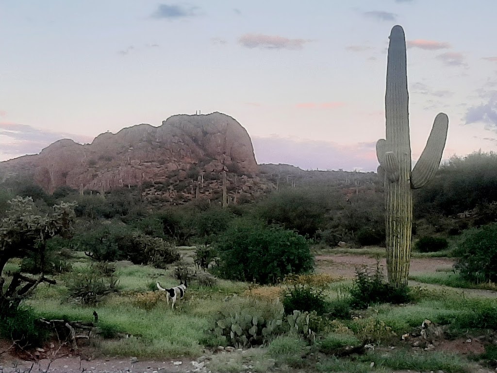 Copper Cactus Ranch Men's Retreat - 4516 N Elephant Butte Rd, Queen ...