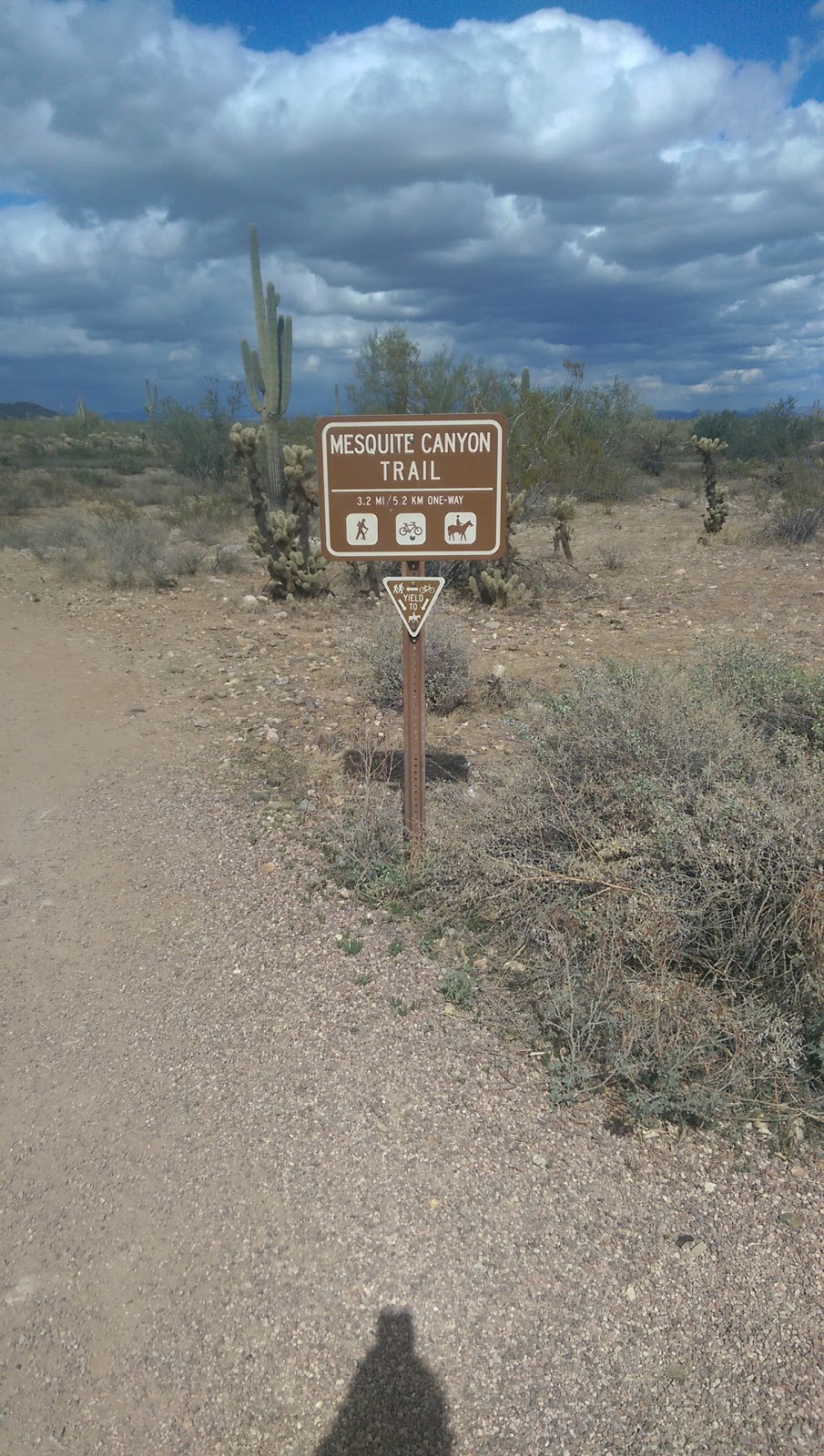 Mesquite Canyon Trail | Mesquite Canyon Trail, Waddell, AZ 85355, USA | Phone: (623) 935-2505