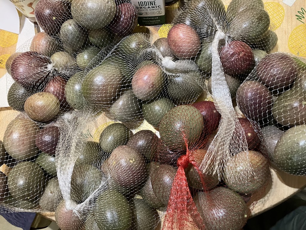 Good Hill Farms | 10098 Gomez Creek Rd, Fallbrook, CA 92028, USA | Phone: (760) 205-3291