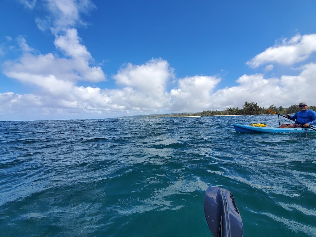 Coastal Kayak Tours | 62-207 Kawailoa Dr, Haleiwa, HI 96712, USA | Phone: (808) 234-4047