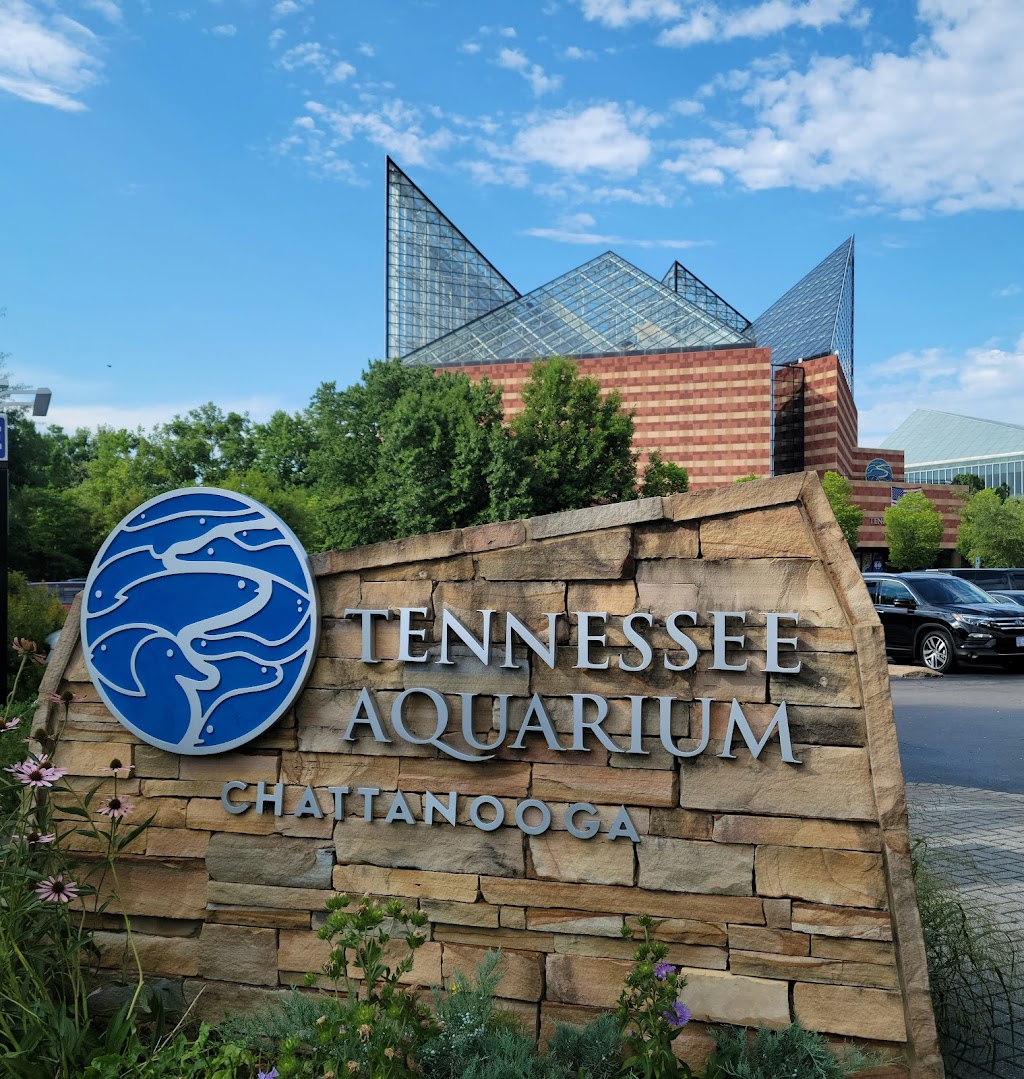 Tennessee Aquarium | 1 Broad St, Chattanooga, TN 37402, USA | Phone: (423) 265-0695