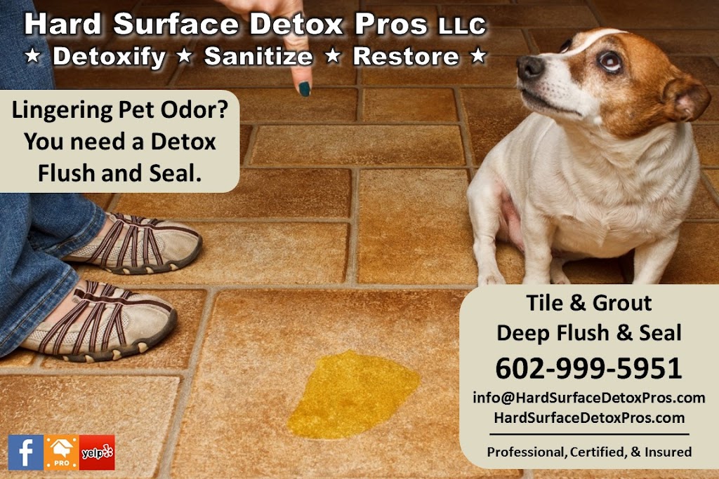 Hard Surface Detox Pros LLC | 26884 N 98th Dr, Peoria, AZ 85383, USA | Phone: (602) 999-5951