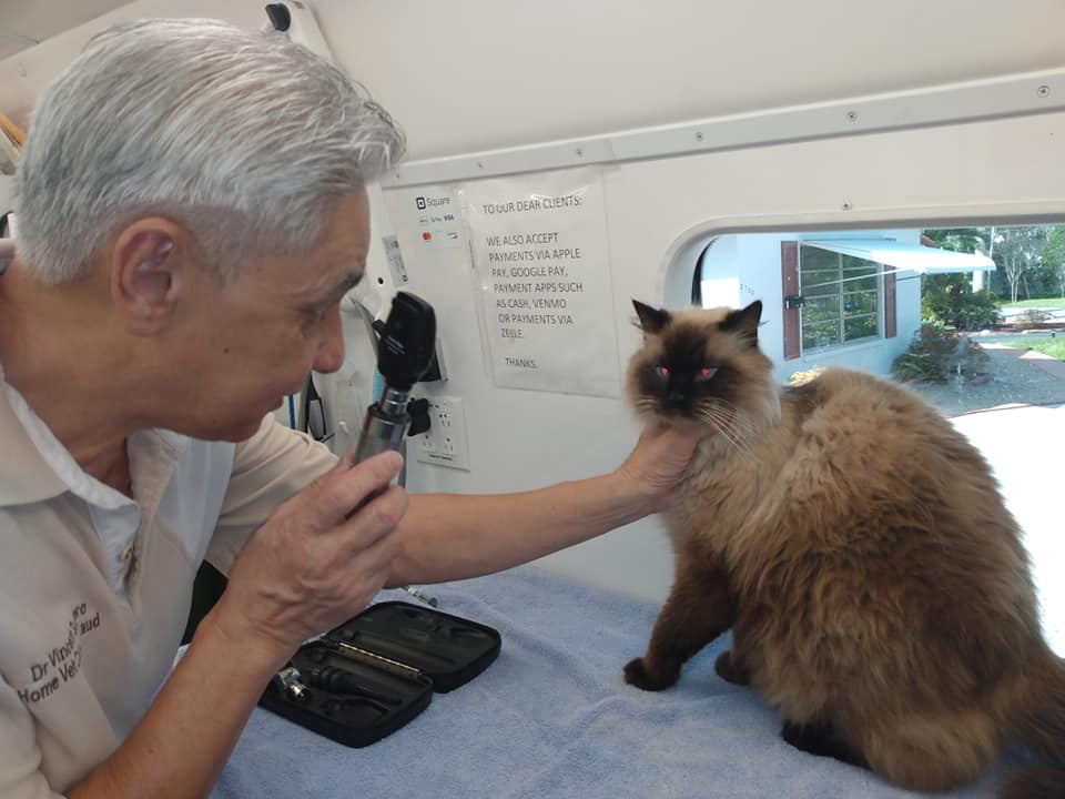 Guerrero Vincent DVM | Mobile Vet, Fort Lauderdale, FL 33312, USA | Phone: (954) 609-4811