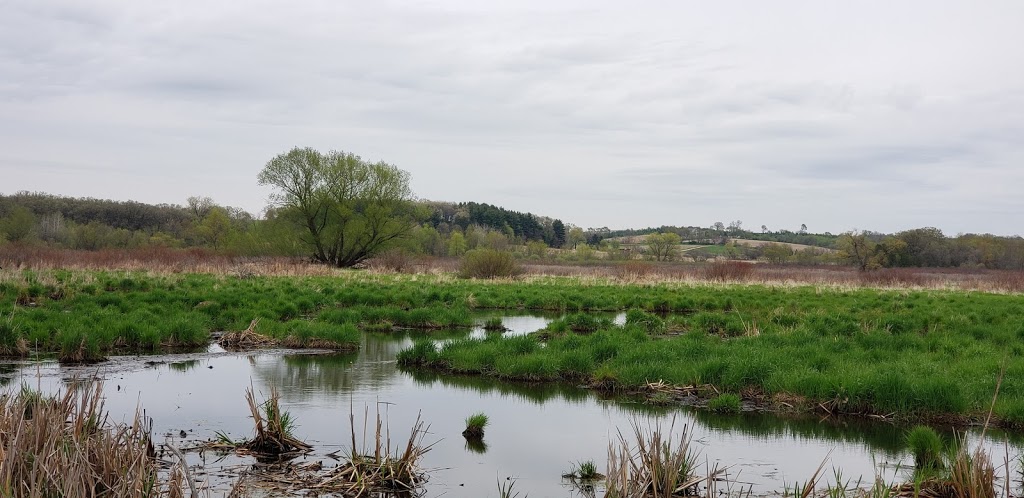 Liberty Creek Wildlife Area | Town Line Rd, Albany, WI 53502, USA | Phone: (608) 266-2621