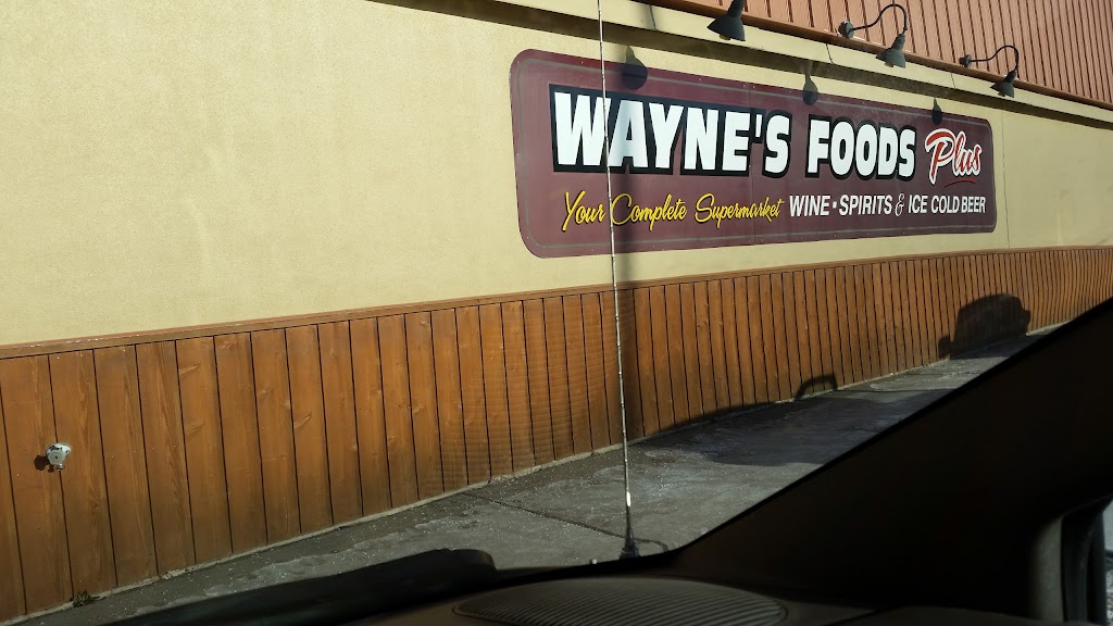 Waynes Foods Plus | WI-35, Luck, WI 54853, USA | Phone: (715) 472-2210