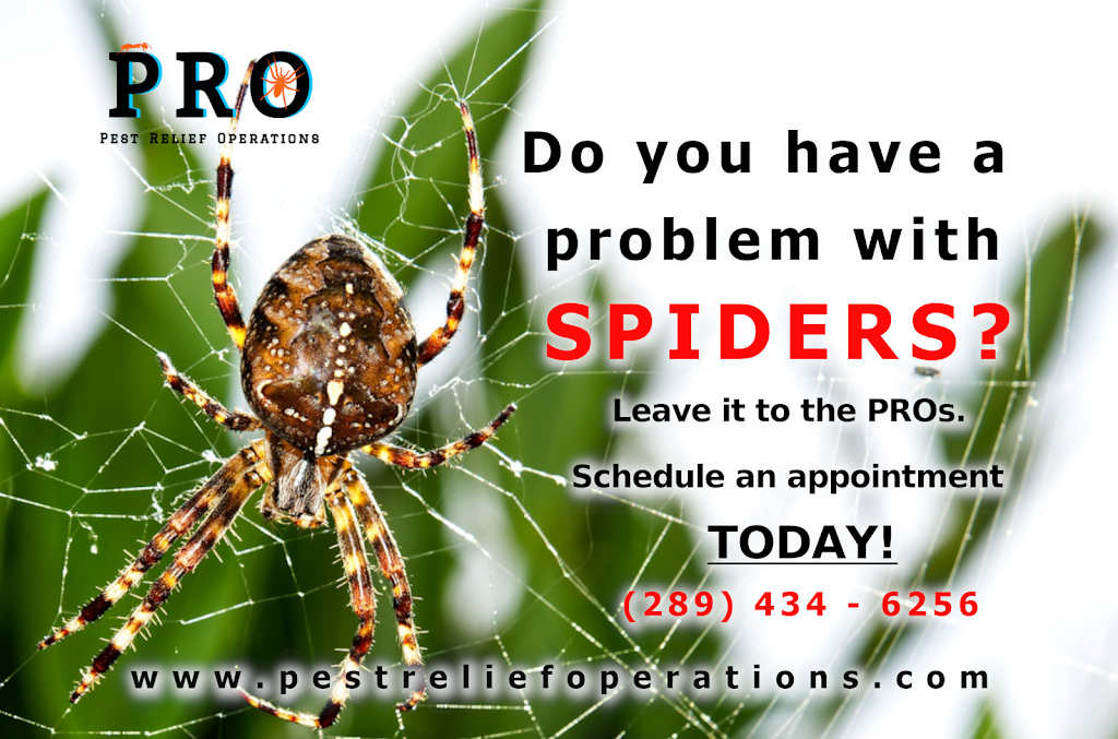 Pest Relief Operations | 267 Niagara St, St. Catharines, ON L2M 5N2, Canada | Phone: (289) 434-6256