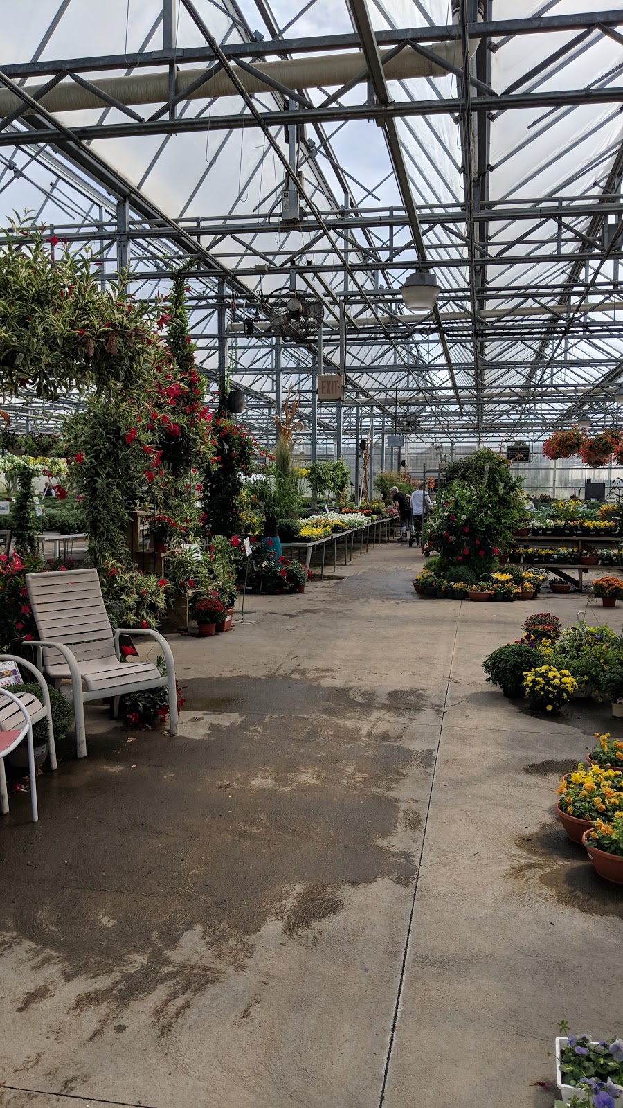 Straders Garden Center | 5350 Riverside Dr, Columbus, OH 43220, USA | Phone: (614) 889-1314