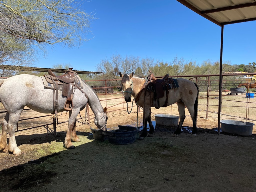 Catalina Horseback Riding | 245 E Ina Rd, Tucson, AZ 85704, USA | Phone: (520) 631-3787