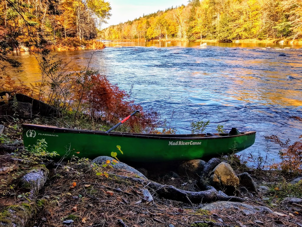 Cedar River Canoe/Kayak/Fishing Access | Benton Rd, Indian Lake, NY 12842, USA | Phone: (518) 863-4545