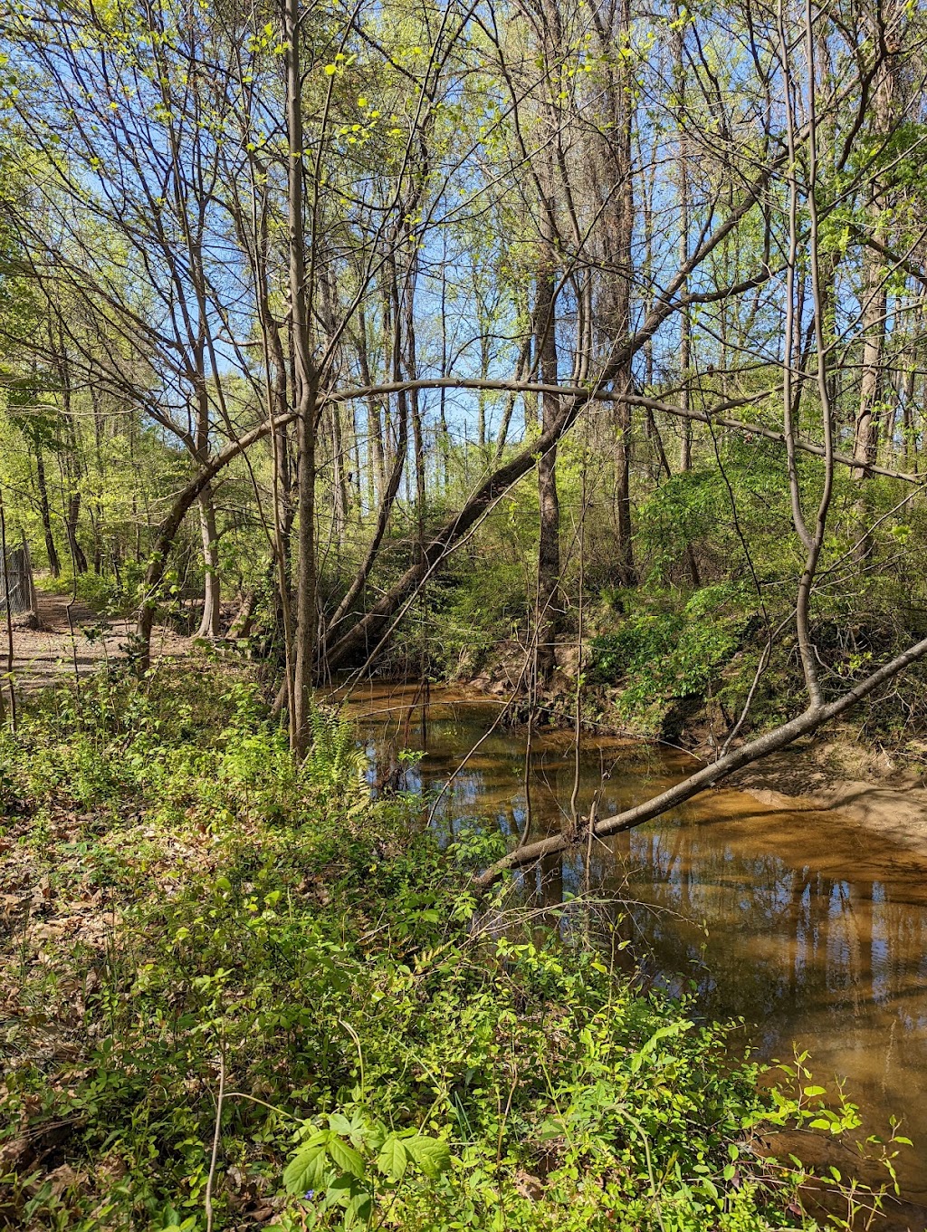 A.L. Burruss Nature Park | 75 S Cobb Dr, Marietta, GA 30060, USA | Phone: (770) 794-5602