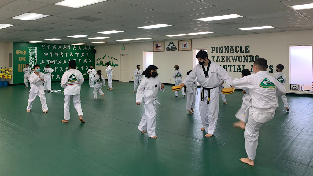 Parks Pinnacle Taekwondo | 7575 W Linne Rd, Tracy, CA 95304, USA | Phone: (209) 229-1566