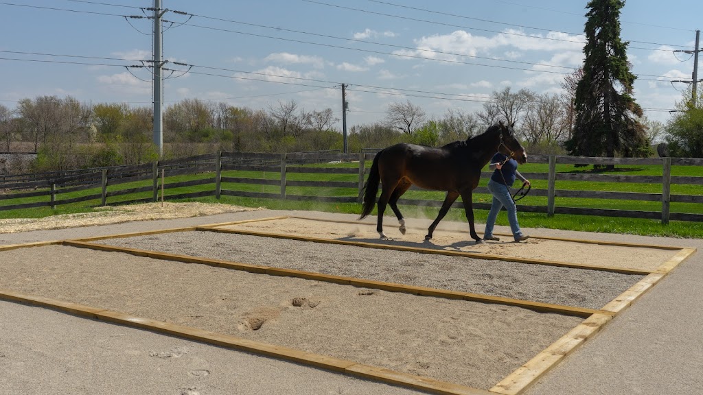 Iverson Equine Practice | 24630 N Old McHenry Rd, Hawthorn Woods, IL 60047 | Phone: (224) 286-4227