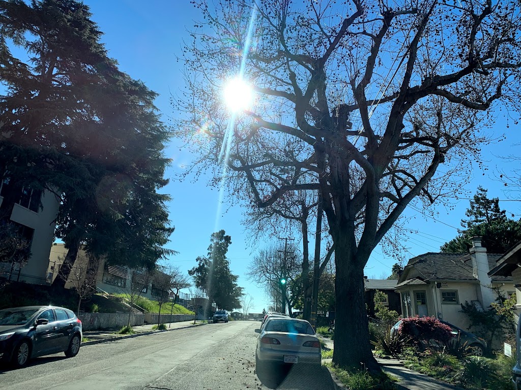 Sequoia Elementary School | 3730 Lincoln Ave, Oakland, CA 94602, USA | Phone: (510) 531-6696