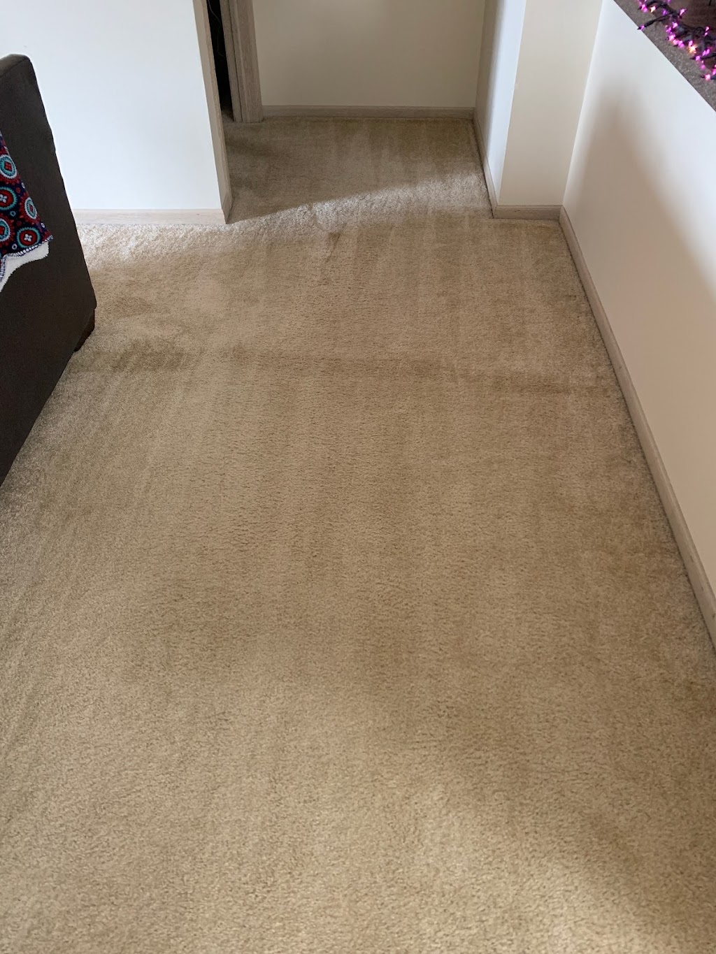 Carpet Pro | 1261 Hudson Gate Dr, Hudson, OH 44236, USA | Phone: (330) 686-5500