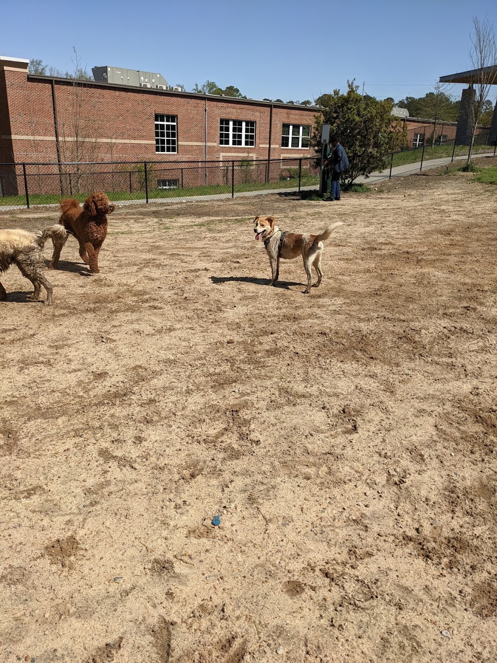 Skyland Dog Park | 2600 Skyland Dr NE, Atlanta, GA 30319, USA | Phone: (404) 637-0500