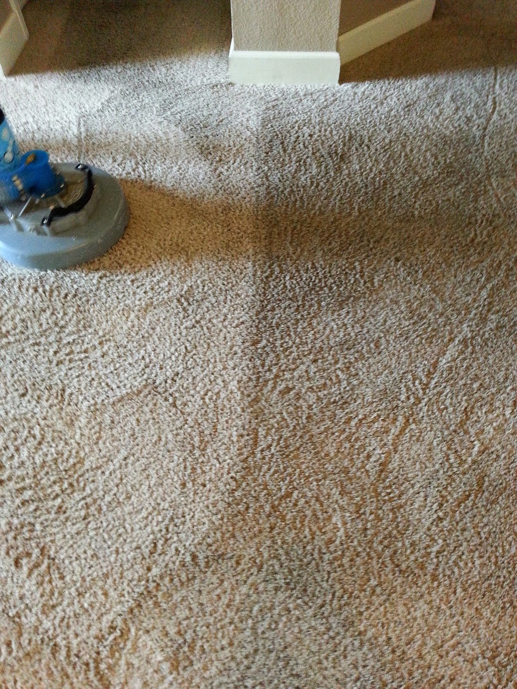 procare carpet and tile cleaning | 224 Eagle Ct, Modesto, CA 95350, USA | Phone: (209) 523-2273