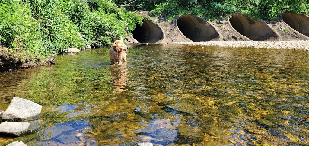 Clermont Natural Park | 4551 Eisenhower Ave, Alexandria, VA 22304 | Phone: (703) 746-4343