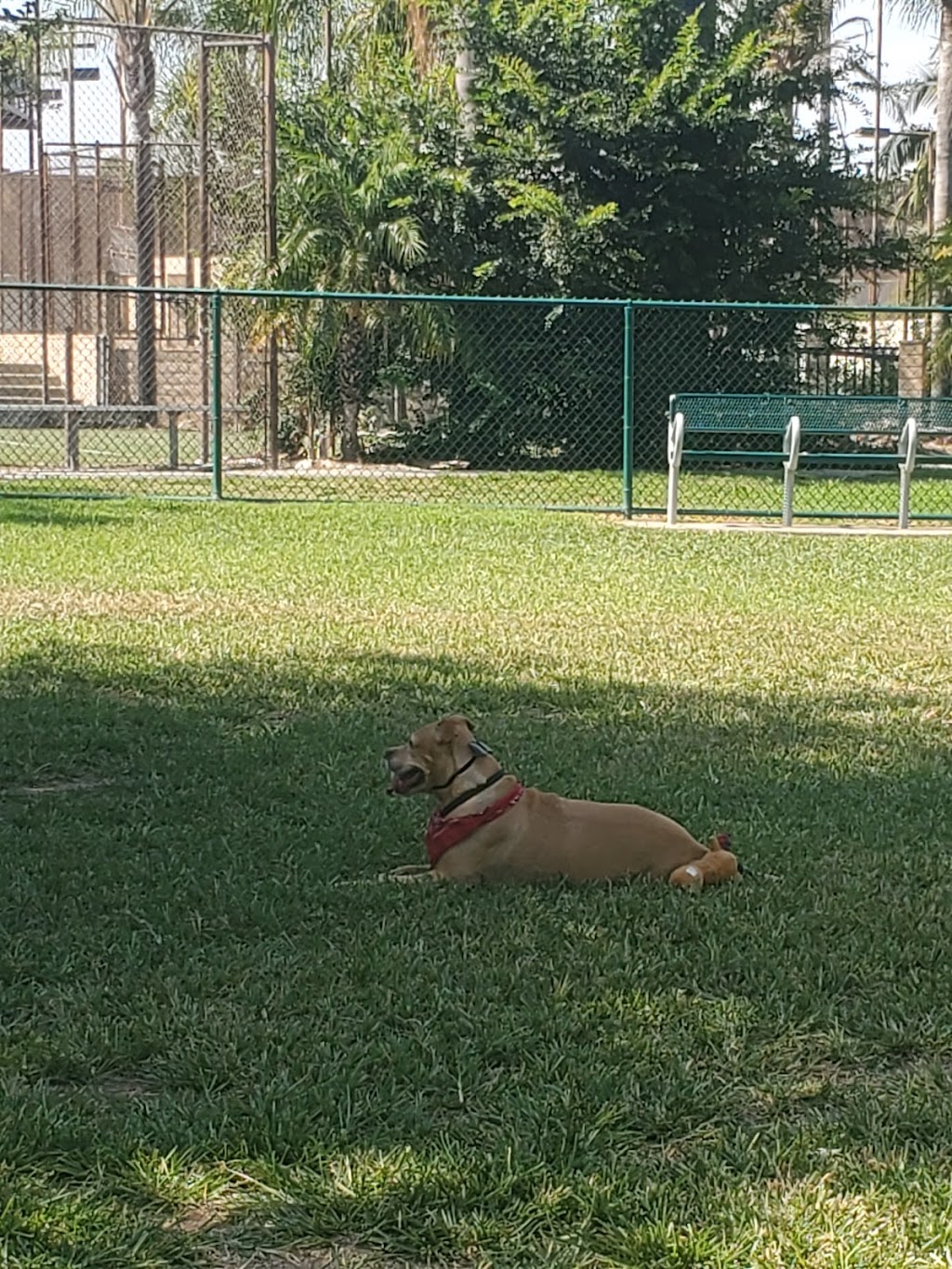 Dog Park | Garden Grove | 13601 Deodara Dr, Garden Grove, CA 92844, USA | Phone: (714) 741-5000