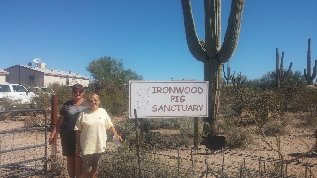 Ironwood Pig Sanctuary | 34656 E Crystal Visions Rd, Marana, AZ 85658, USA | Phone: (520) 579-8847