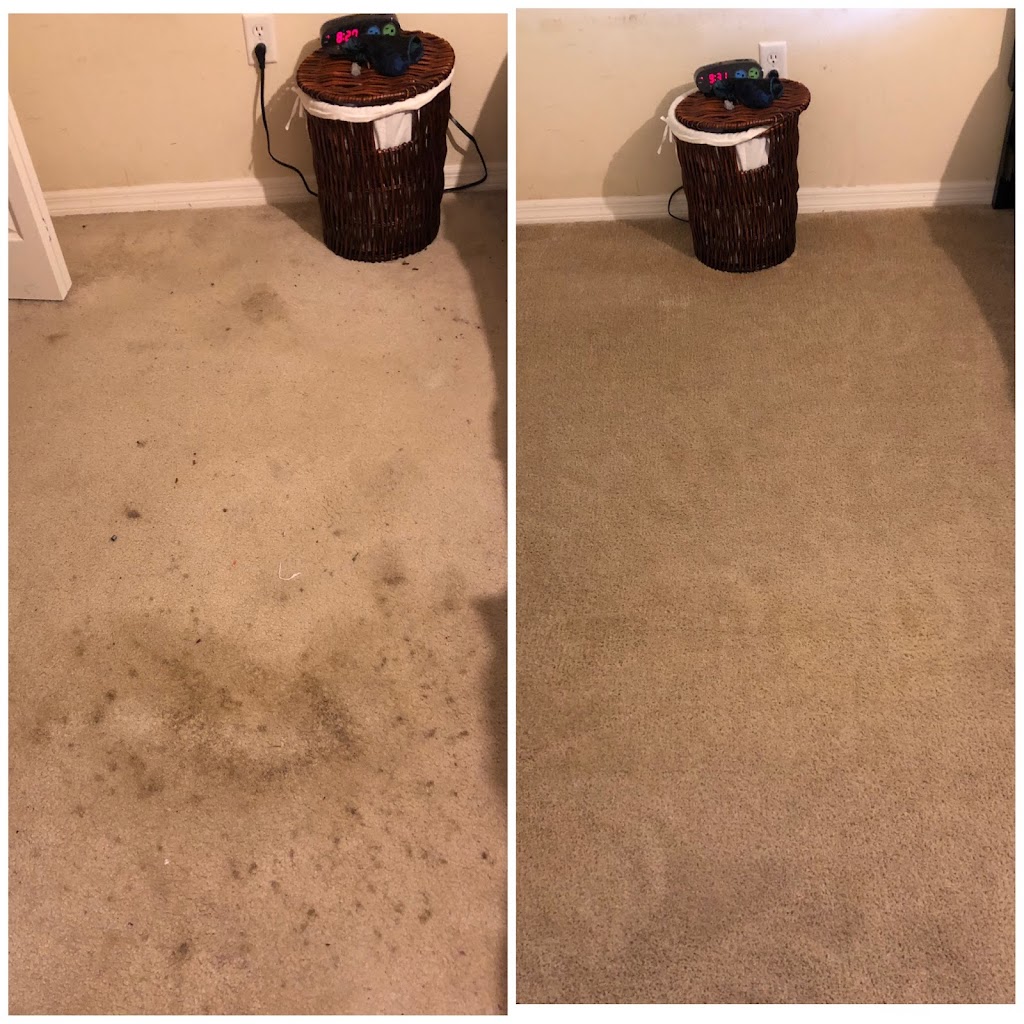 Joel’s Carpet Cleaning | 6438 Bikini Rd, Sarasota, FL 34241, USA | Phone: (941) 313-1771