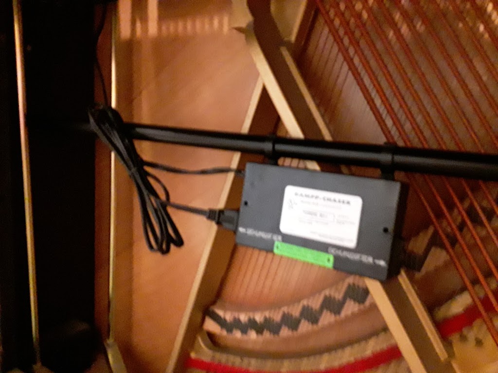 Island Music Guild | 10598 NE Valley Rd, Bainbridge Island, WA 98110, USA | Phone: (206) 780-6911