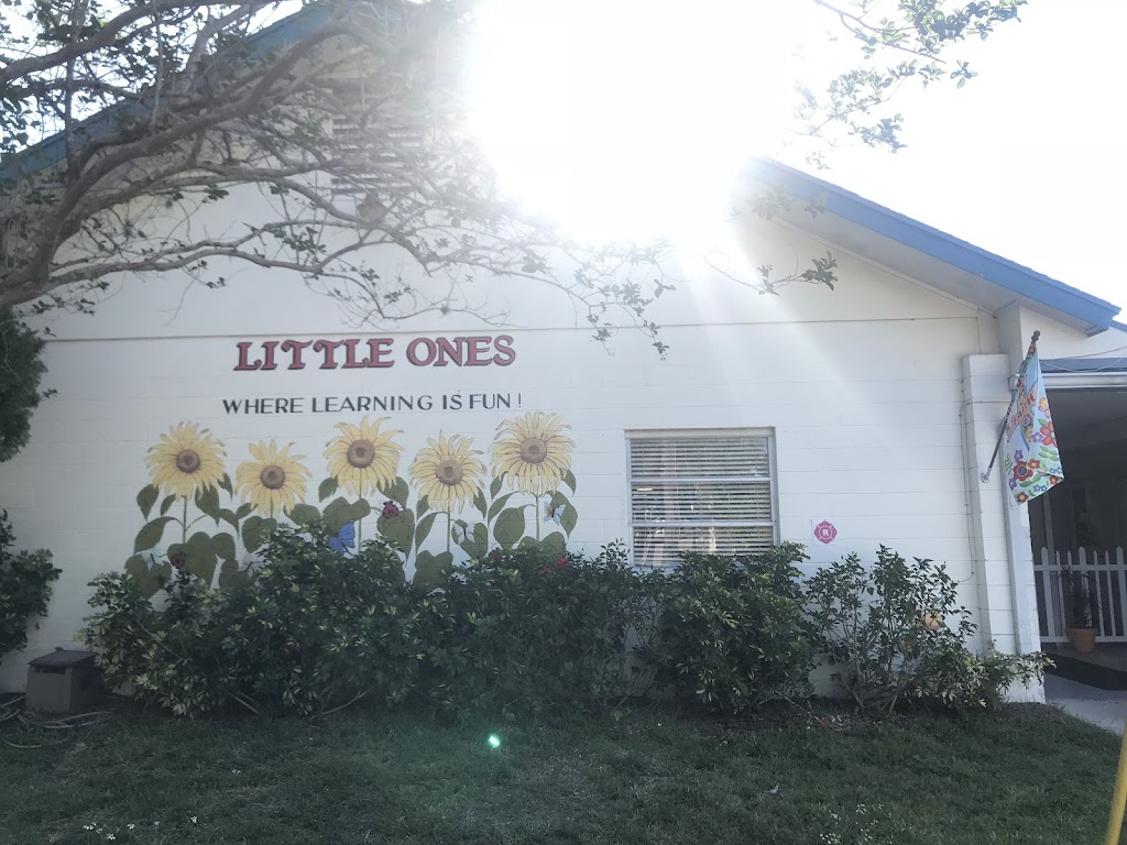Little Ones Preschool | 1400 San Christopher Dr, Dunedin, FL 34698, USA | Phone: (727) 733-2007