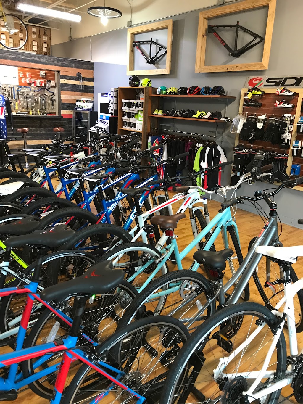 Try Bike Shop | 4750 Alabama Rd #106, Roswell, GA 30075, USA | Phone: (770) 485-0865