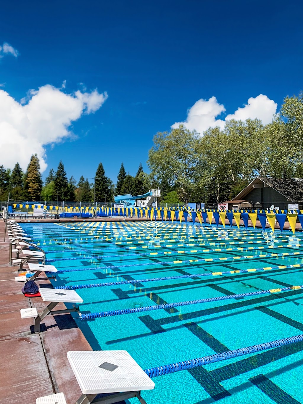 Dolores Bengtson Aquatic Center | 4455 Black Ave, Pleasanton, CA 94566, USA | Phone: (925) 931-3420