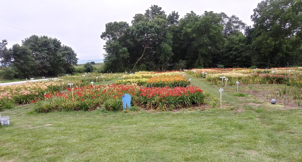 Hillsdale Lily Garden | 61258 US-275, Glenwood, IA 51534, USA | Phone: (402) 917-0510