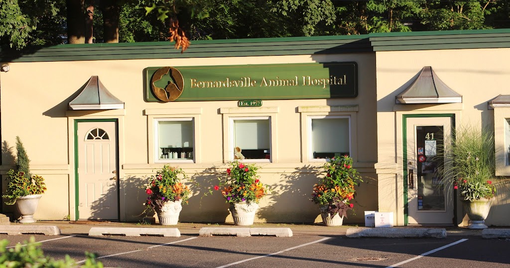 Bernardsville Animal Hospital | 41 Morristown Rd, Bernardsville, NJ 07924, USA | Phone: (908) 498-9238