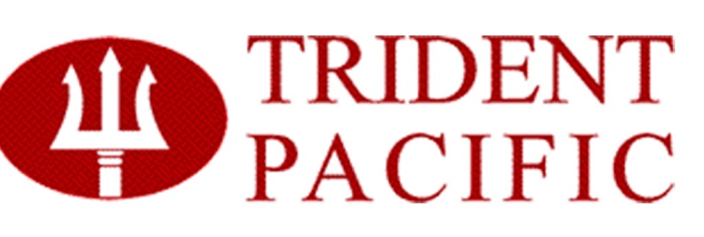 Trident Pacific Real Estate | 1001 B Ave #208, Coronado, CA 92118, USA | Phone: (619) 435-9442