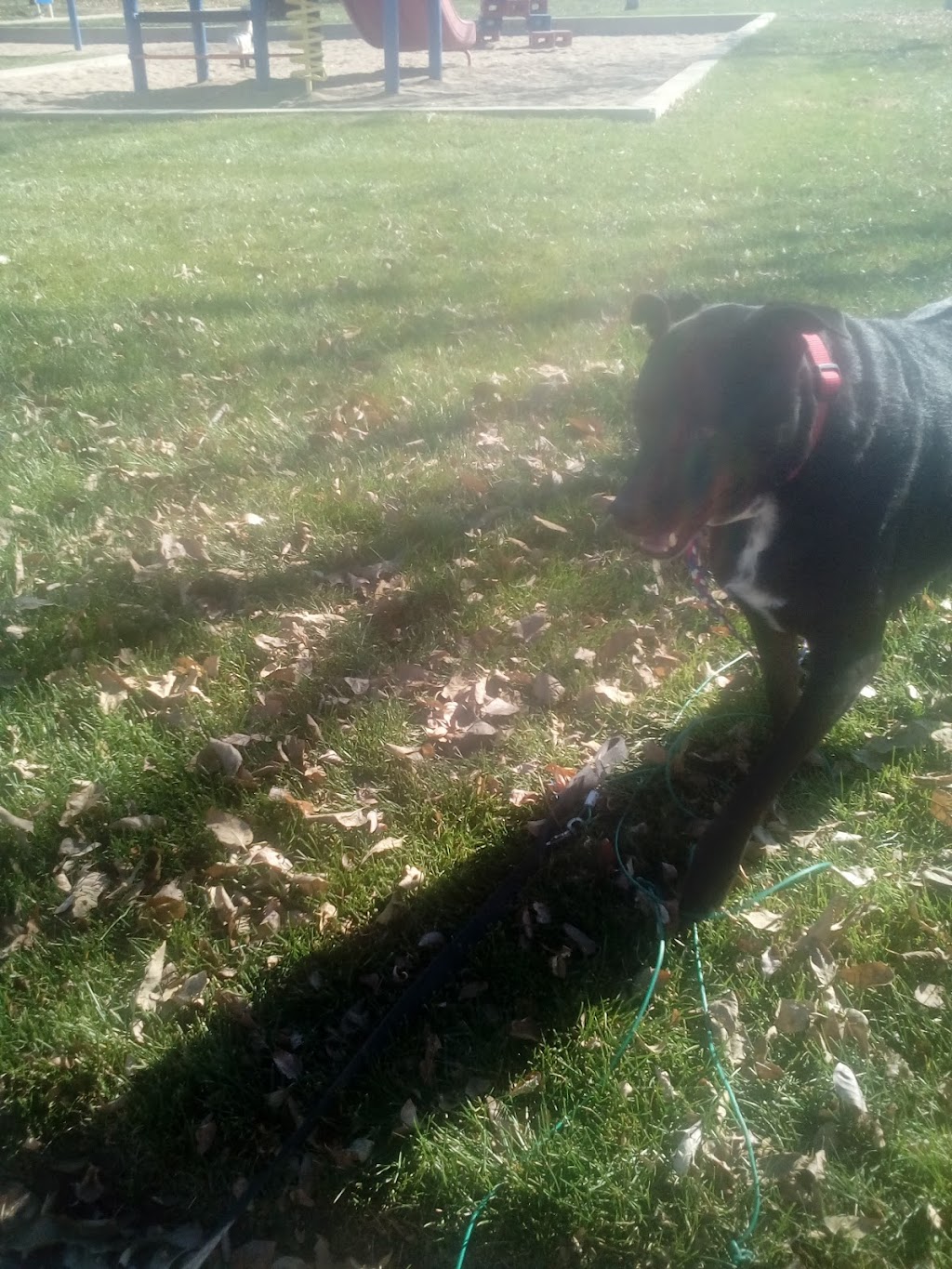 Norfolk Glen Park | 15800 E 17th Pl, Aurora, CO 80011, USA | Phone: (303) 739-7000 Norfolk Glen Park | 15800 E 17th Pl, Aurora, CO 80011, USA | Phone: (303) 739-7000