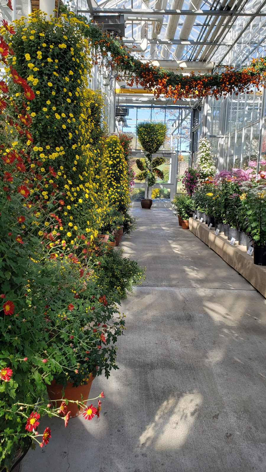 Nolen Greenhouses | Bronx, NY 10467, USA | Phone: (718) 817-8700