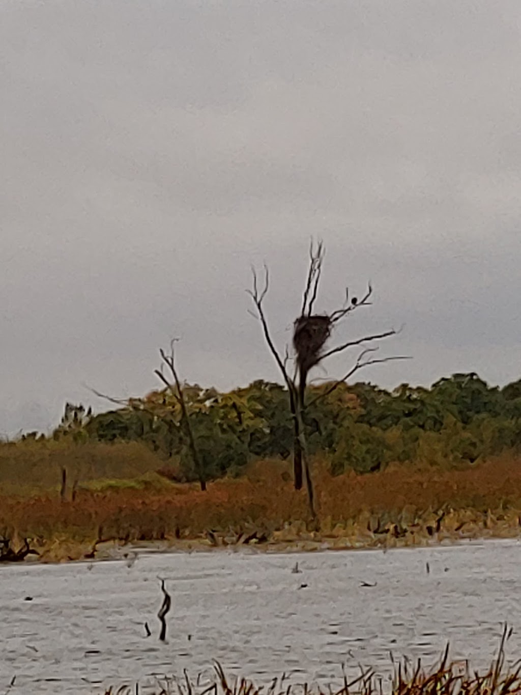 Sherburne National Wildlife Refuge | 17076 293rd Ave NW, Zimmerman, MN 55398, USA | Phone: (763) 389-3323