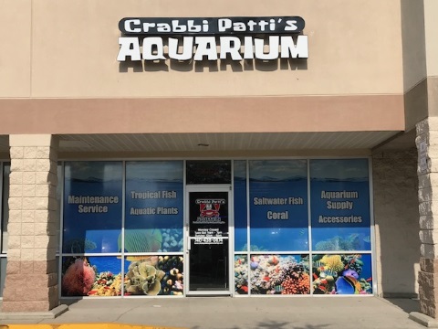 Crabbi Pattis Aquarium Shop | 1100 US-27 #1, Clermont, FL 34714, USA | Phone: (352) 404-8698